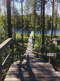 Wooden footbridge amidst trees in forest