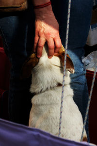 Close-up of man holding dog