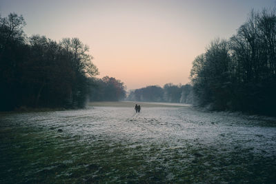 Snowy field during sunset