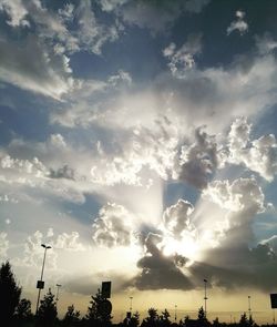 Low angle view of silhouette trees against sky