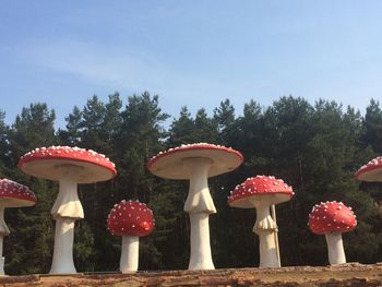 Red mushroom growing in forest against clear sky