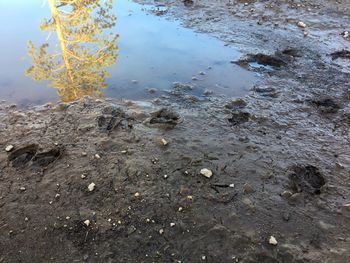 High angle view of puddle on beach