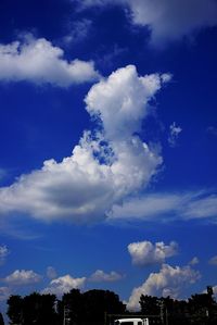 Low angle view of trees against blue sky