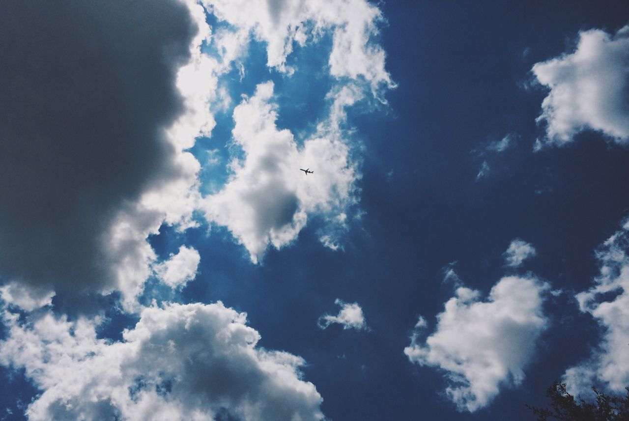 low angle view, sky, cloud - sky, beauty in nature, tranquility, nature, cloudy, scenics, sky only, cloud, blue, tranquil scene, cloudscape, day, outdoors, flying, idyllic, no people, backgrounds, white color