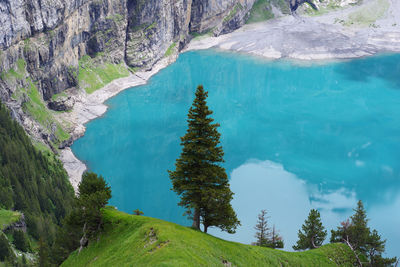 High angle view of trees on mountain