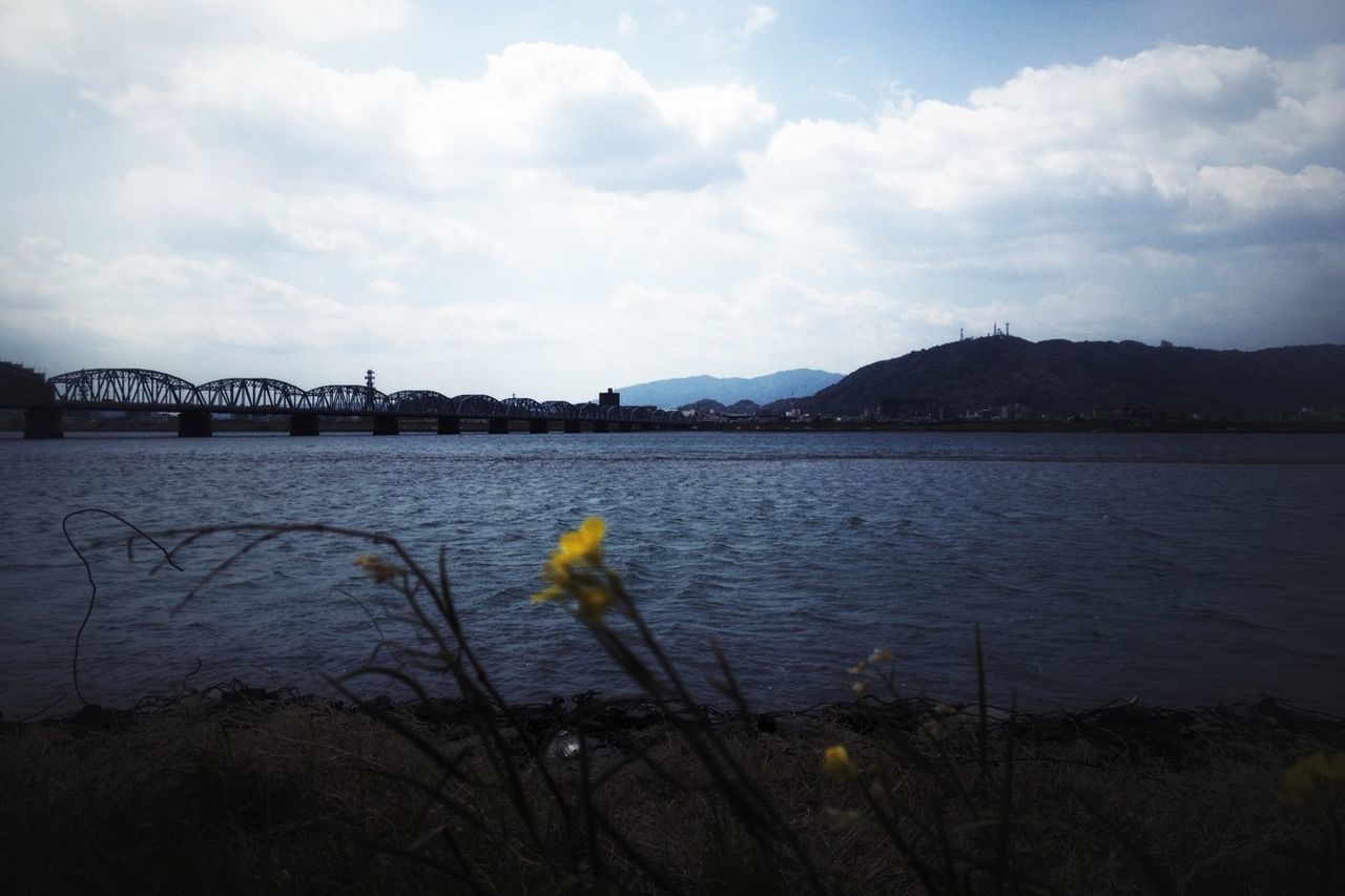 water, sky, flower, lake, beauty in nature, cloud - sky, nature, tranquil scene, plant, mountain, tranquility, scenics, cloud, river, growth, cloudy, mountain range, outdoors, sea, no people