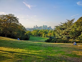 Trees growing in park against sky