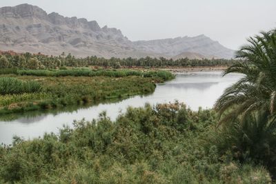 Scenic view of lake and mountains