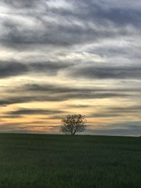 Scenic view of field against sky during sunset