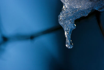 Close-up of frozen water