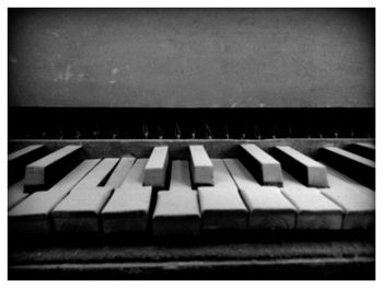 Row of trees in the dark