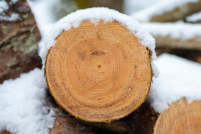 Stack or pile composed of blocks, pieces or logs of wood in winter or spring with snow