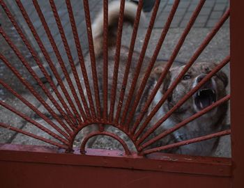 Close-up of spiral staircase