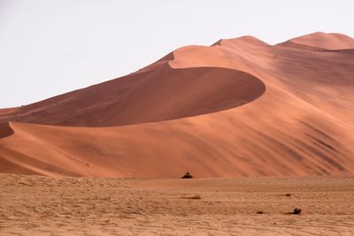 Sand dunes in a desert