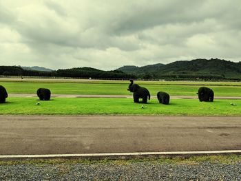 View of sheep on landscape