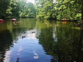 Scenic view of lake