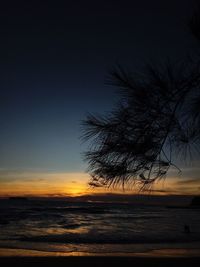 Silhouette trees on beach against sky at sunset