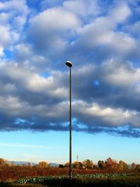 Low angle view of trees on field against sky