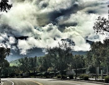 Low angle view of trees against storm clouds