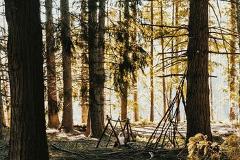 Woman sitting in forest