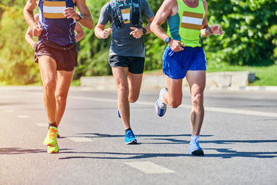 Rear view of people running