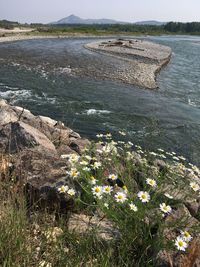 Scenic view of sea by mountains