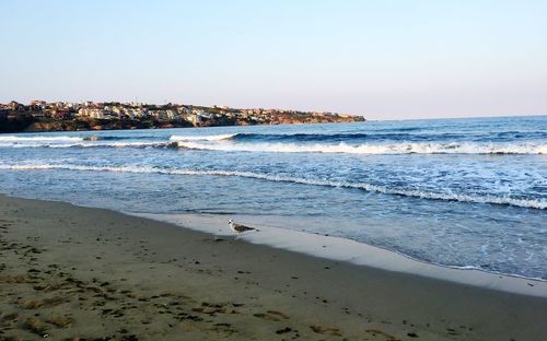 Scenic view of beach against clear sky