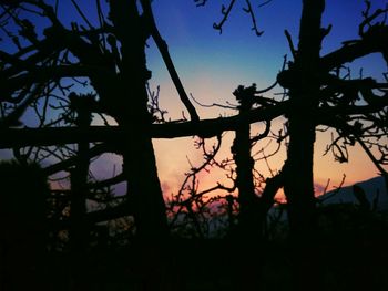 Silhouette of bare tree against sky at sunset