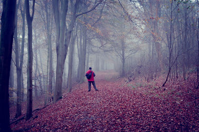 People walking in forest