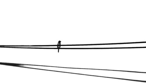 Low angle view of silhouette cables against clear sky