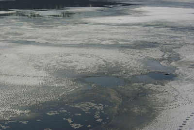 Close-up of landscape