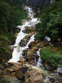 Stream flowing through rocks in forest