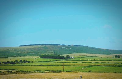 Scenic view of grassy field against sky