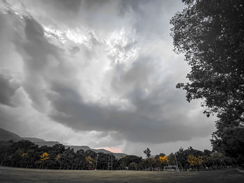 Low angle view of trees against sky