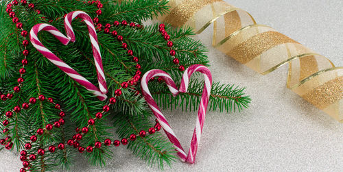 Close-up of christmas tree