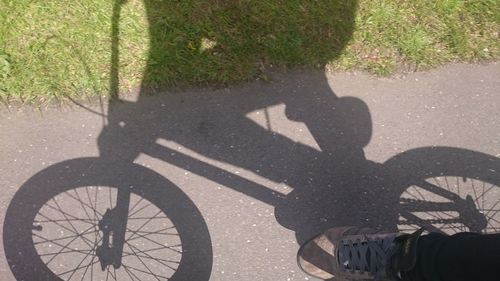 People riding bicycle on road
