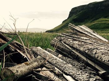 Stack of logs on field against sky