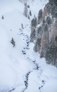 High angle view of snow covered creek and trees