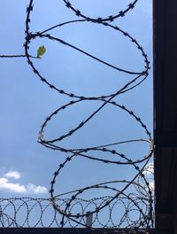 Close-up of barbed wire