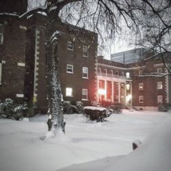Snow covered street by buildings in city
