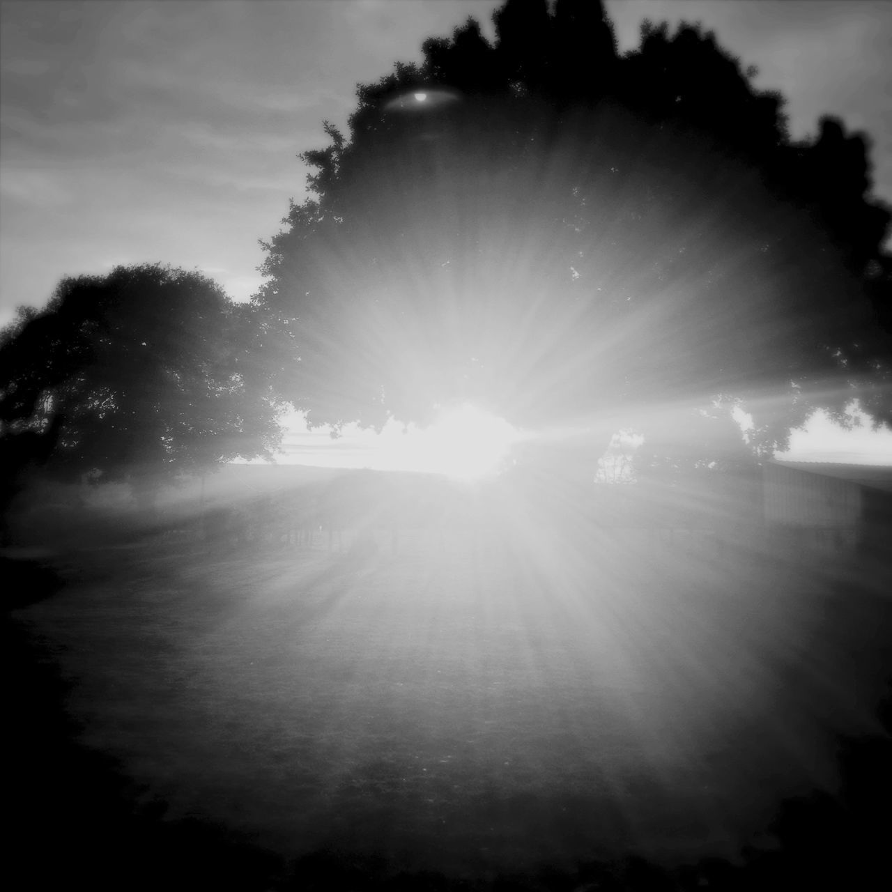 sun, sunbeam, lens flare, sunlight, sky, low angle view, tree, bright, silhouette, nature, beauty in nature, sunny, back lit, cloud - sky, tranquility, day, outdoors, no people, tranquil scene, cloud