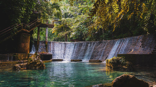 Scenic view of waterfall in forest