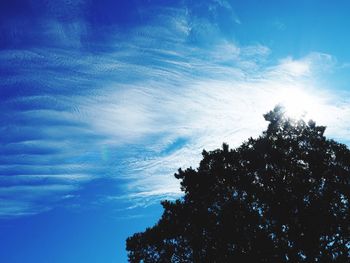 Low angle view of silhouette trees against blue sky