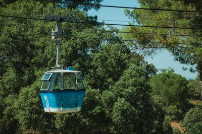 Overhead cable car against trees in forest