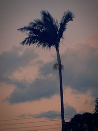 Low angle view of palm tree against sky at sunset