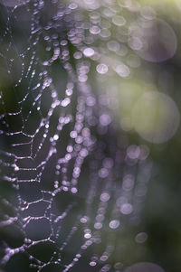 Defocused image of water