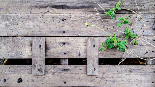 Full frame shot of wooden palette 