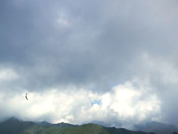 Low angle view of bird flying in sky