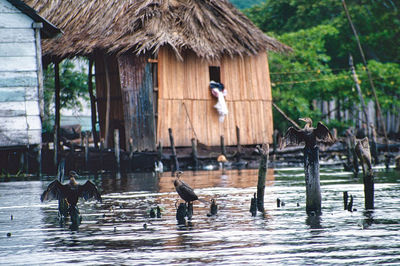 Rear view of people swimming in lake