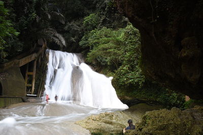 Scenic view of waterfall in forest